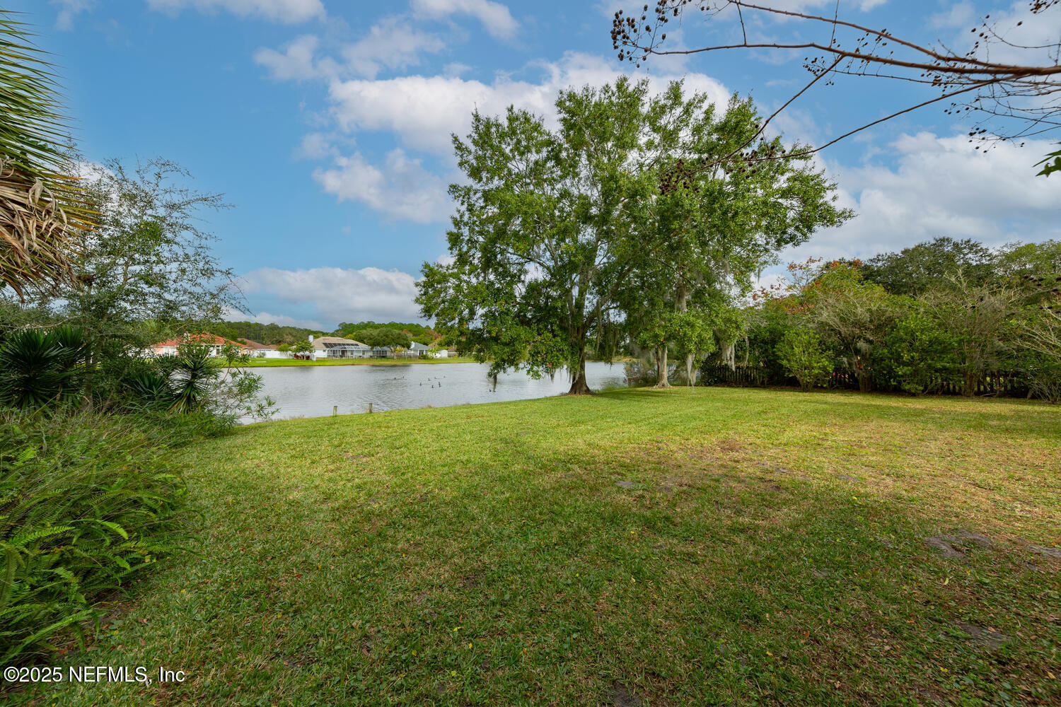 113 Nottingham Drive St. Johns, FL 32259 - Photo 28 of 35 a view of a yard with a tree