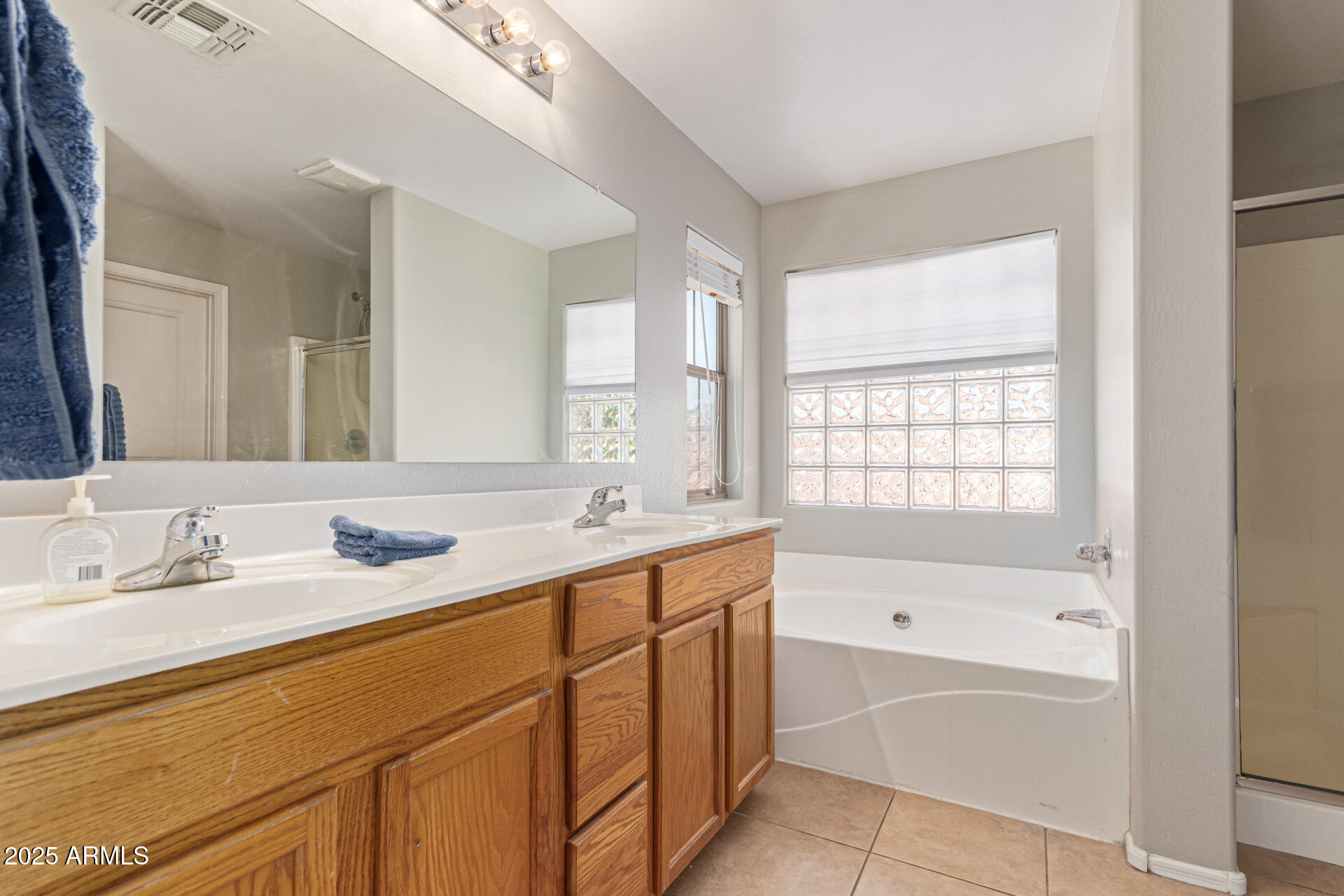 3802 East Chickadee Road Gilbert, AZ 85297 - Photo 16 of 29 a bathroom with a tub sink and mirror