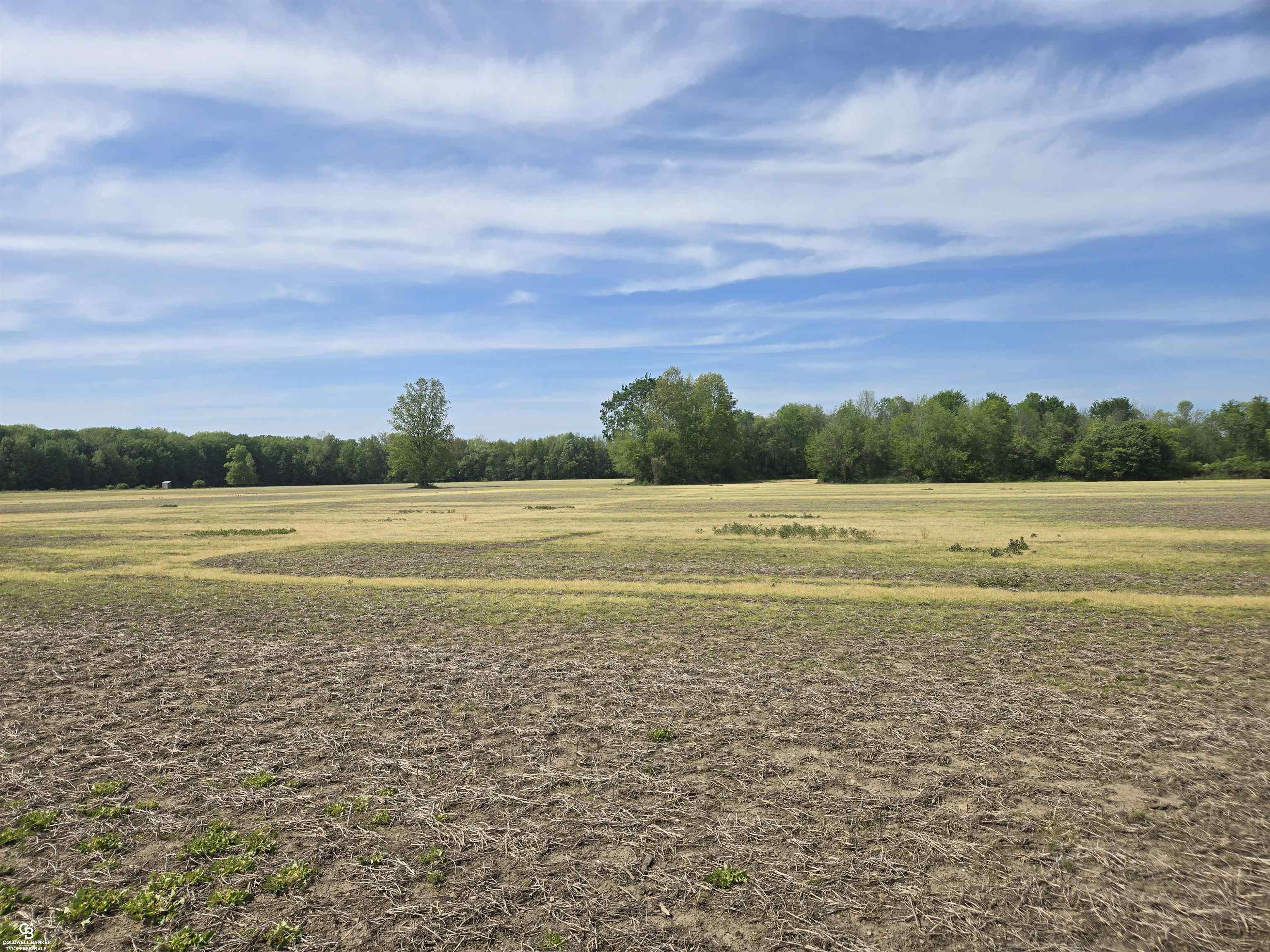 0 Bean Road Avoca, MI 48006 - Photo 10 of 11