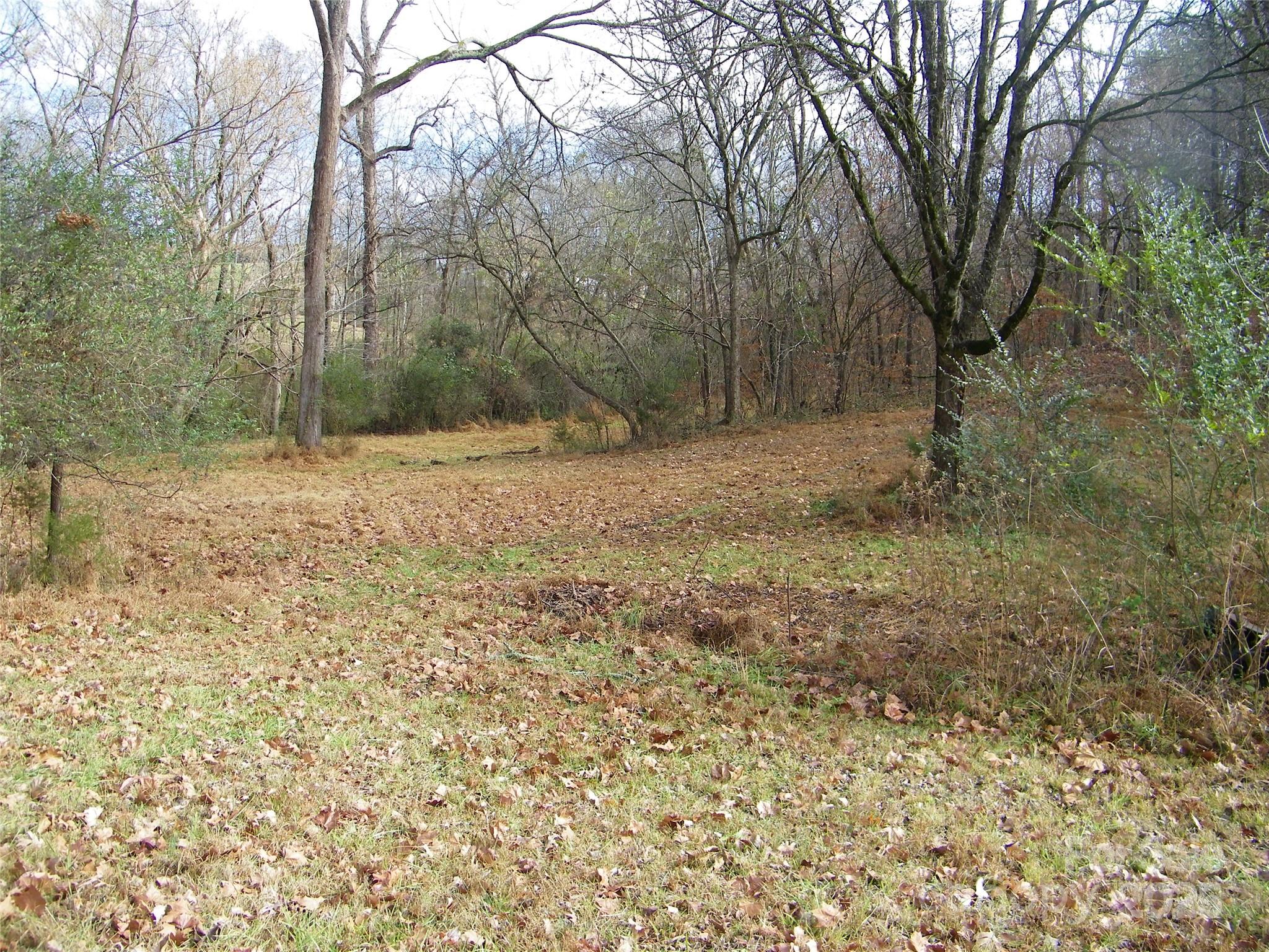 5501 Barrier Georgeville Road Mount Pleasant, NC 28124 - Photo 2 of 13 a view of a yard with a tree