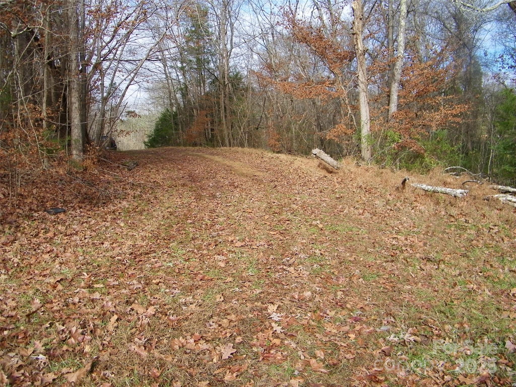 5501 Barrier Georgeville Road Mount Pleasant, NC 28124 - Photo 3 of 13 a view of a yard with trees