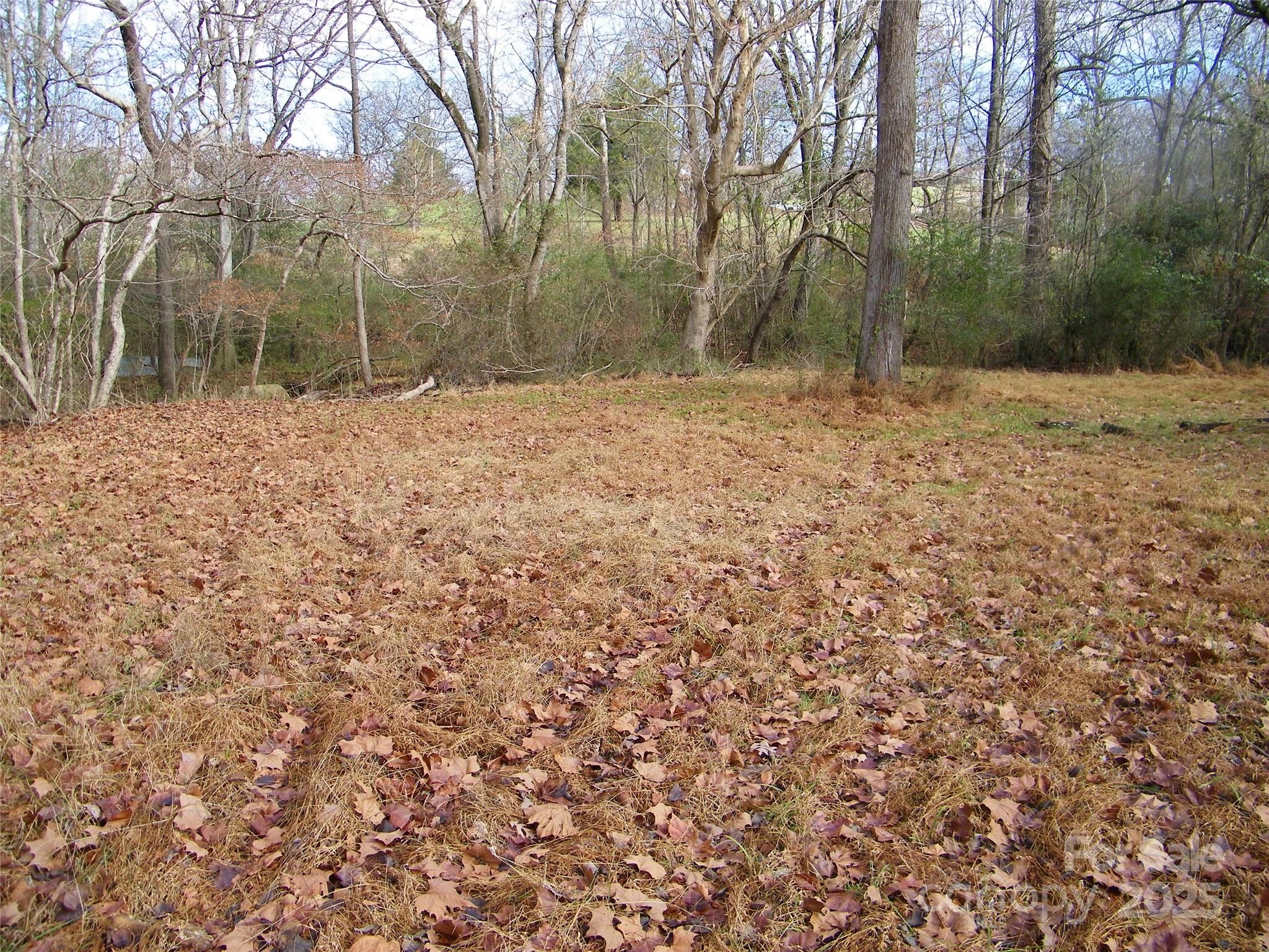5501 Barrier Georgeville Road Mount Pleasant, NC 28124 - Photo 5 of 13 a view of outdoor space with trees