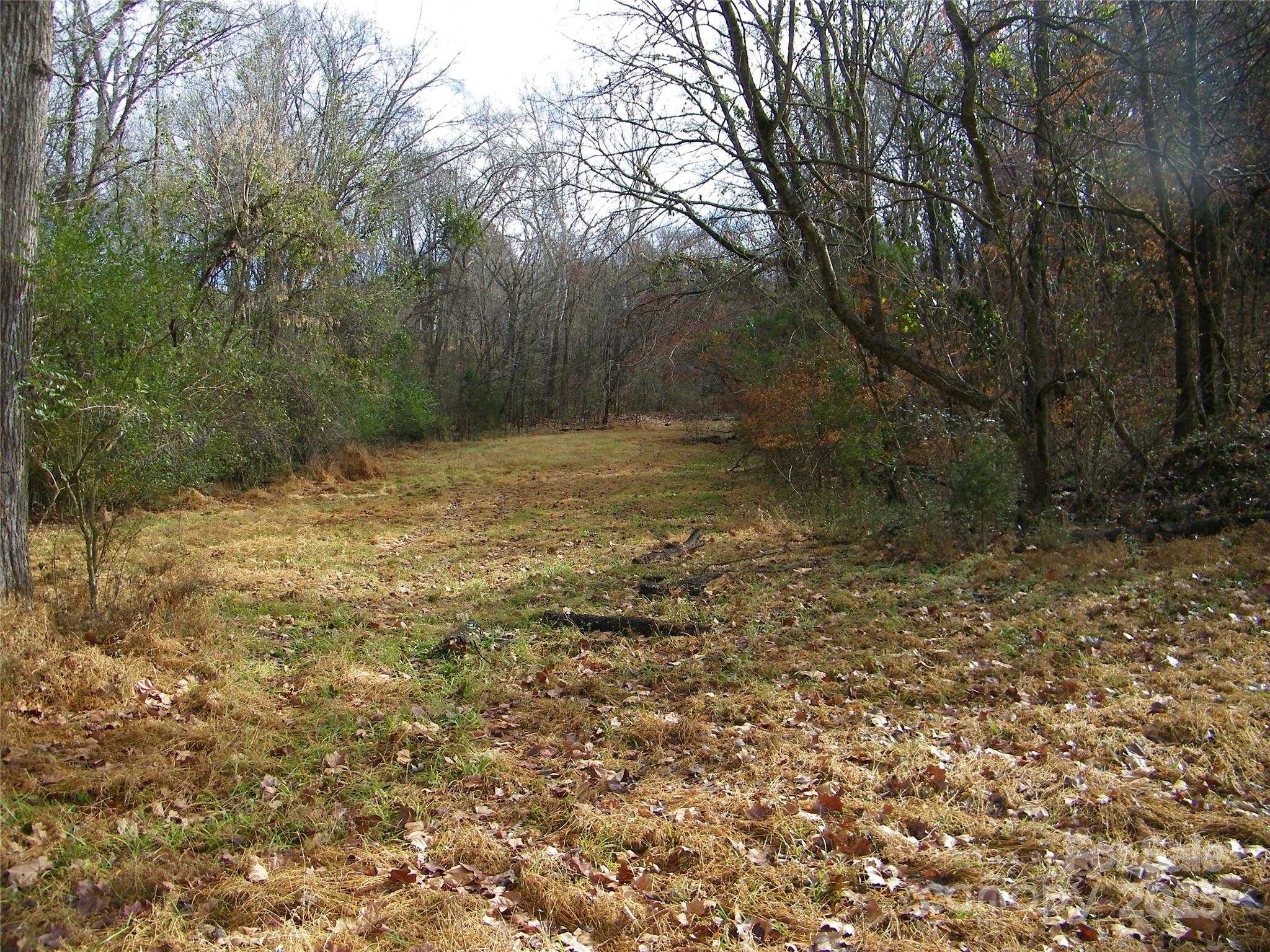 5501 Barrier Georgeville Road Mount Pleasant, NC 28124 - Photo 6 of 13 a view of a yard with a tree