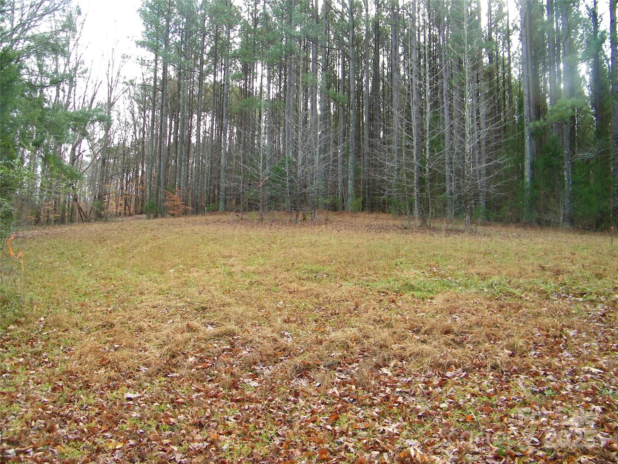 5501 Barrier Georgeville Road Mount Pleasant, NC 28124 - Photo 7 of 13 a view of a field with trees in the background