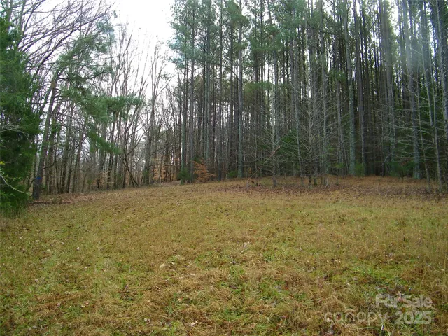 $92,000 | 5501 Barrier Georgeville Road, Mount Pleasant, NC 28124