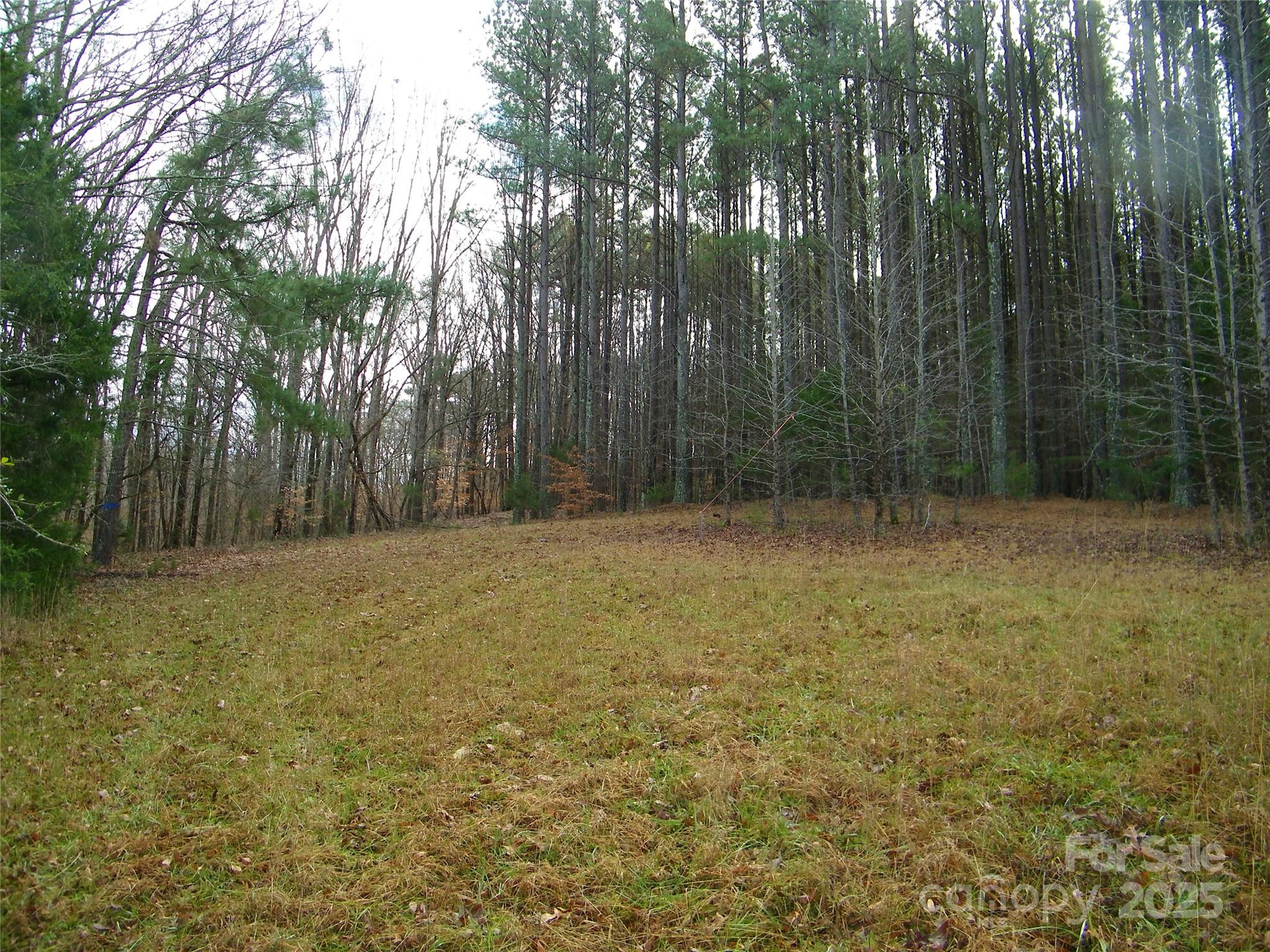 5501 Barrier Georgeville Road Mount Pleasant, NC 28124 - Photo 8 of 13 a view of outdoor space and yard