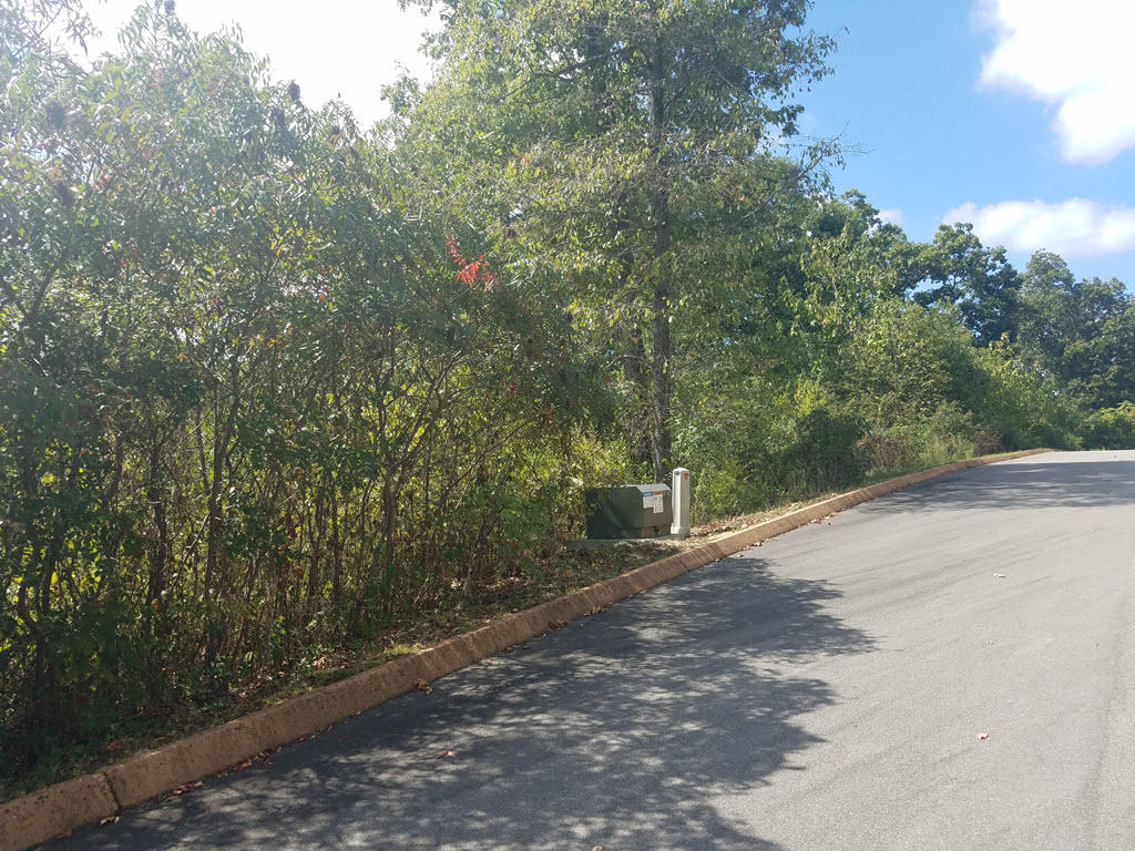Lot 26 Aidans Trail Rutledge, TN 37861 - Photo 14 of 30 2016-10-01 13.51.15