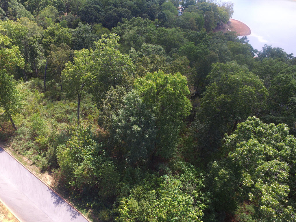 Lot 26 Aidans Trail Rutledge, TN 37861 - Photo 22 of 30 DJI_0056