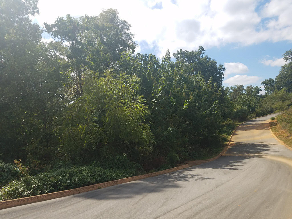 Lot 26 Aidans Trail Rutledge, TN 37861 - Photo 8 of 30 2016-10-01 13.49.27