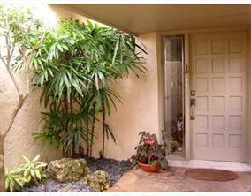 a plant sitting in front of a door