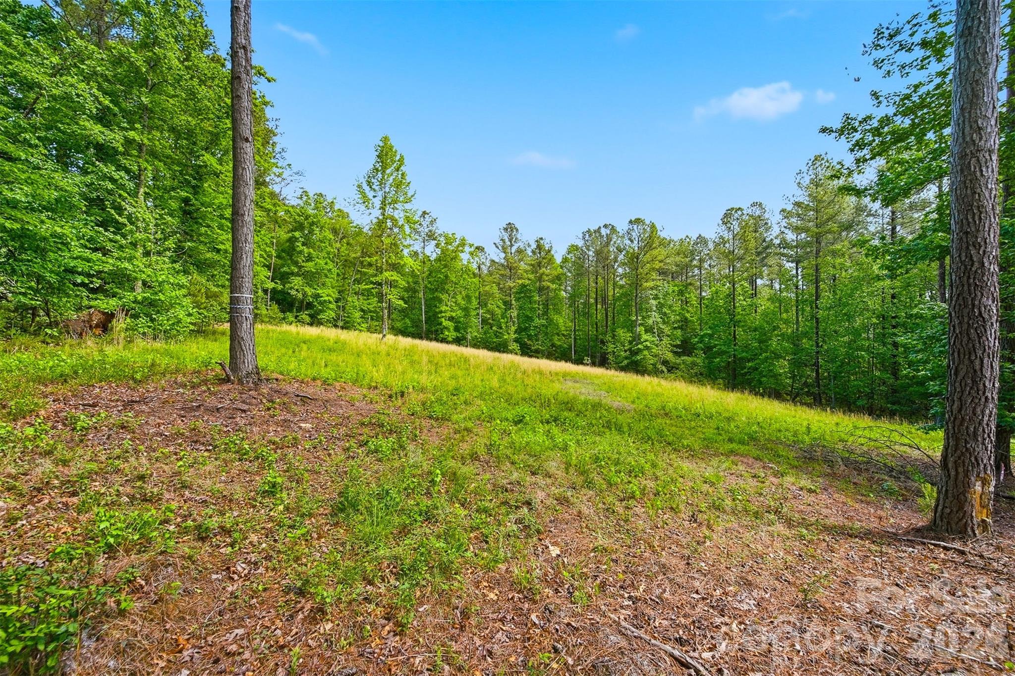 0 Connelly Springs Road Lenoir, NC 28645 - Photo 11 of 11