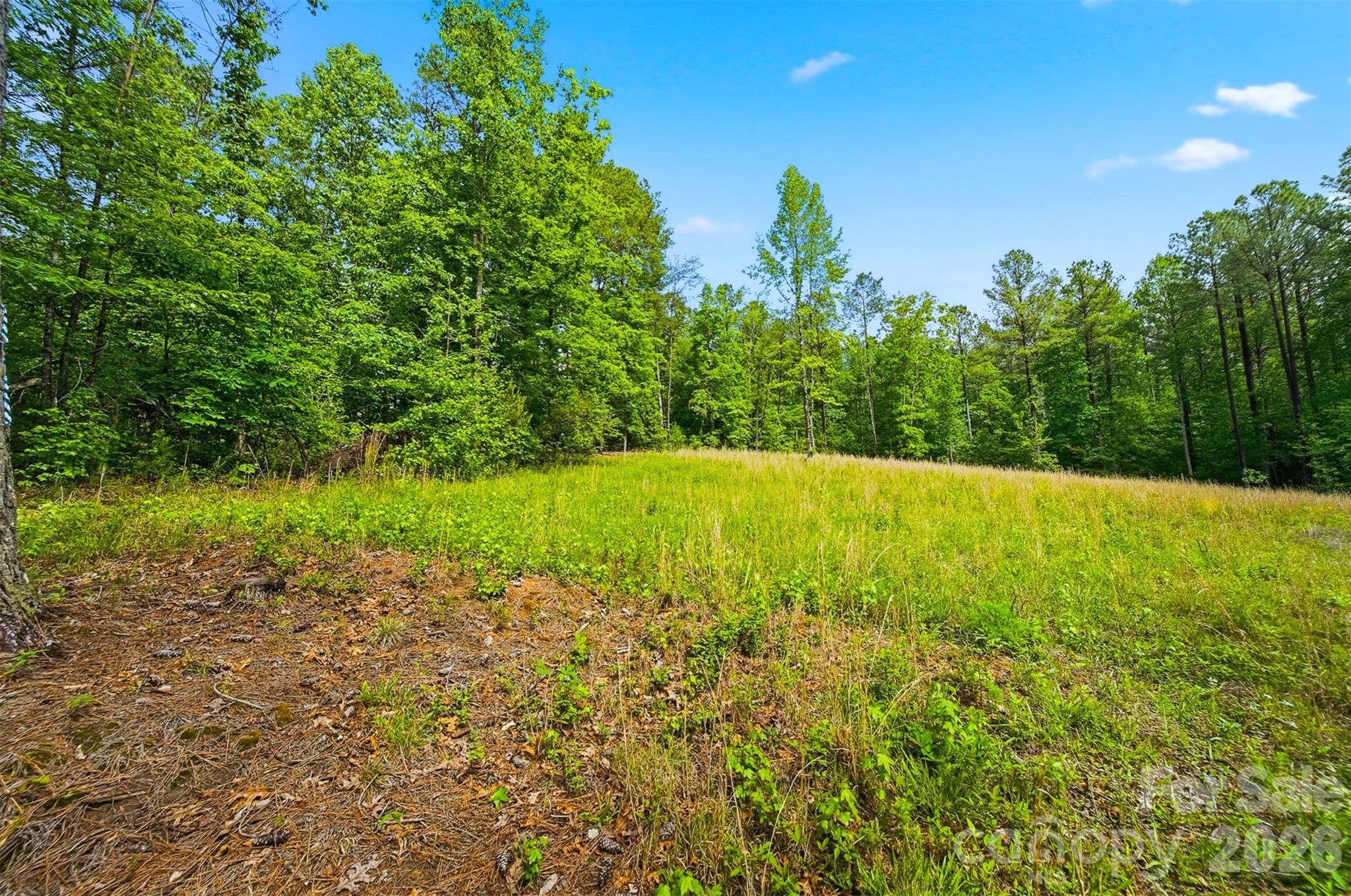 0 Connelly Springs Road Lenoir, NC 28645 - Photo 10 of 11