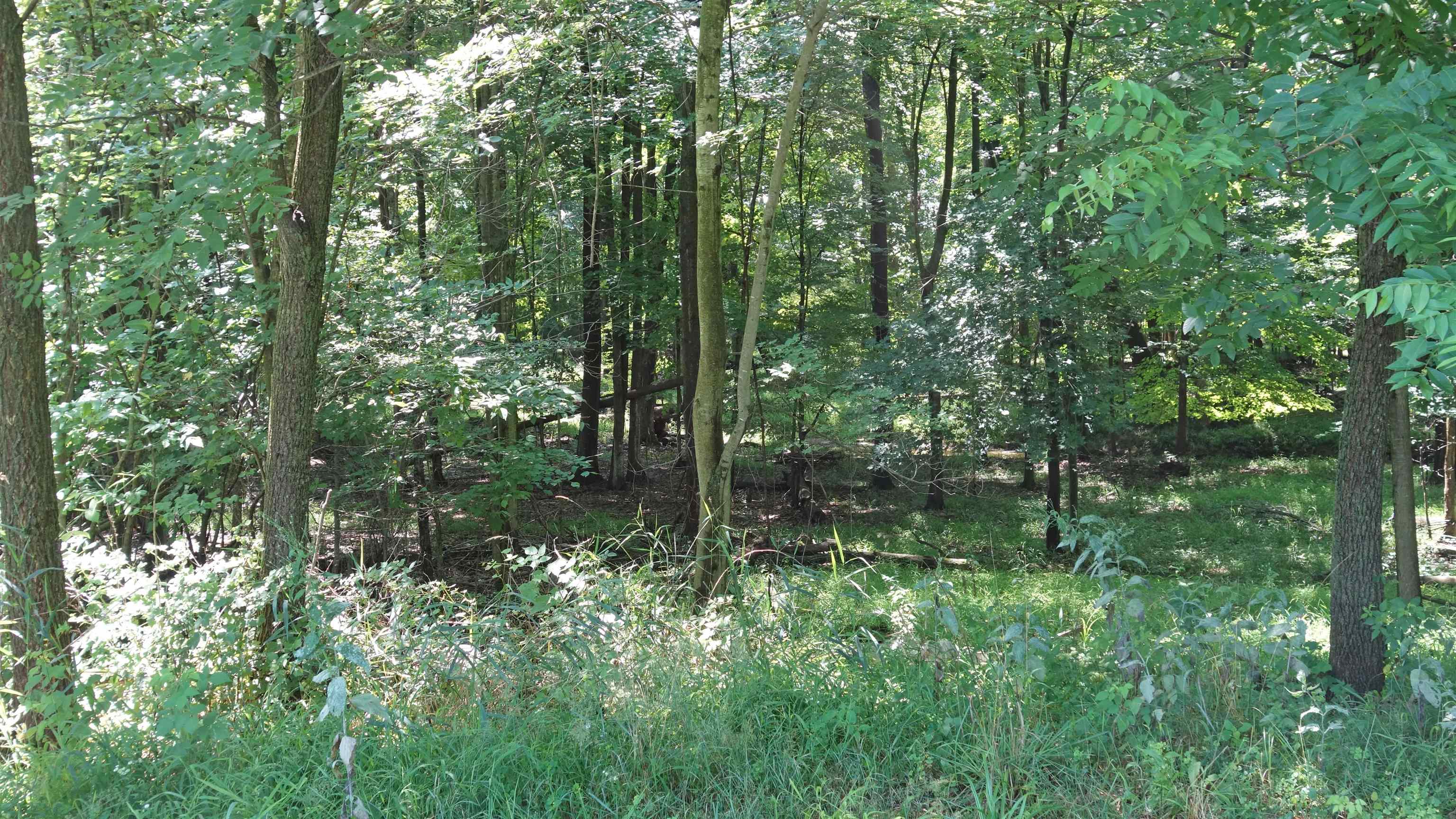16853 West Schroeder Road Brant, MI 48614 - Photo 16 of 62 50149019-a3f30a46-03d1-4698-83ba-5e8a39aea20c.JPG