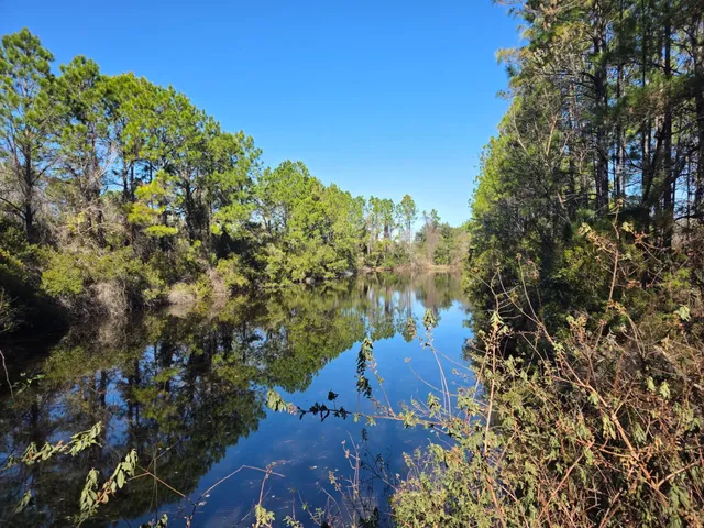 $47,500 | 493 Domenico Circle, St. Augustine, FL 32086