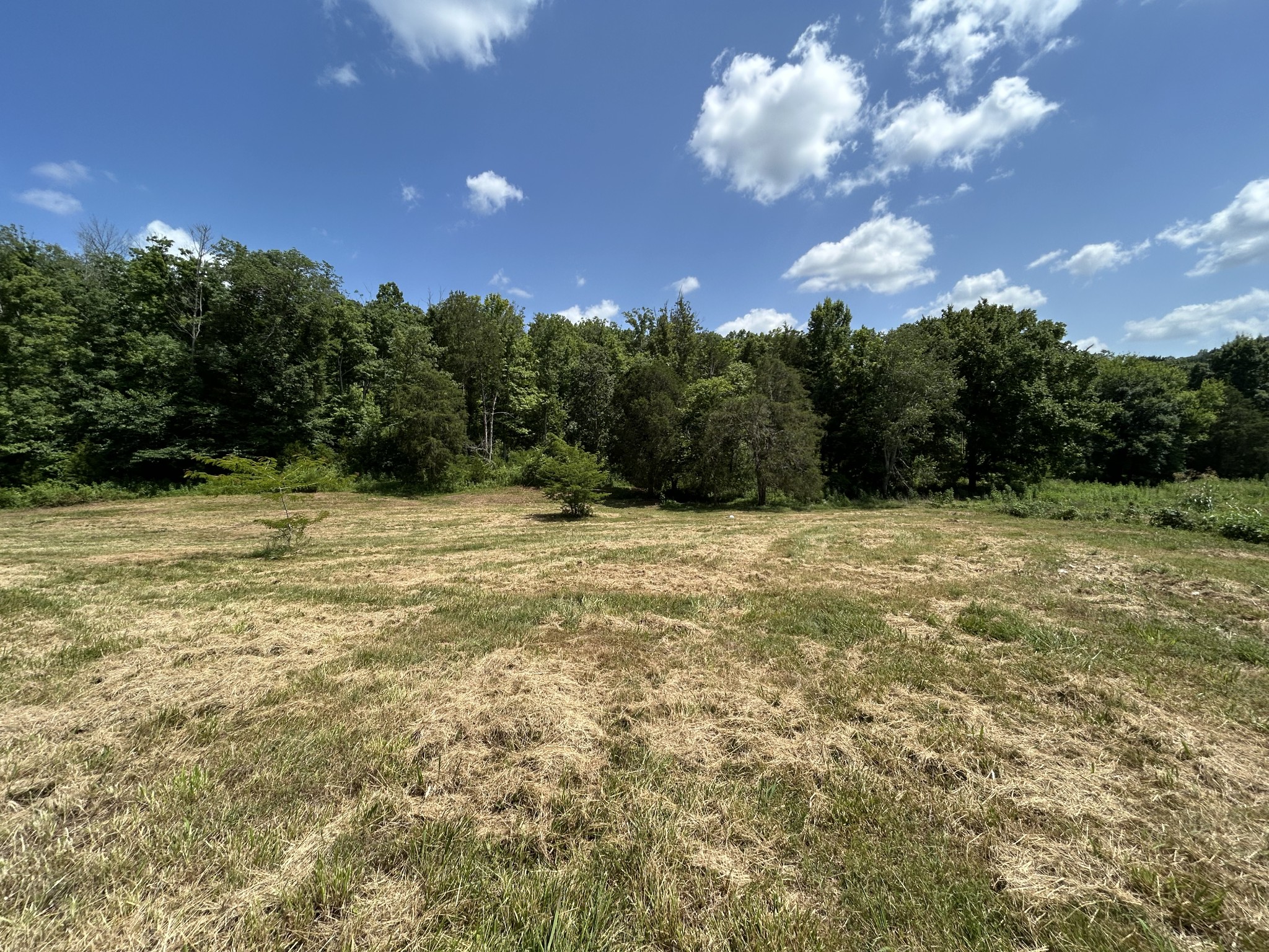 1 New Hope Cemetery Road Pulaski, TN 38478 - Photo 5 of 21