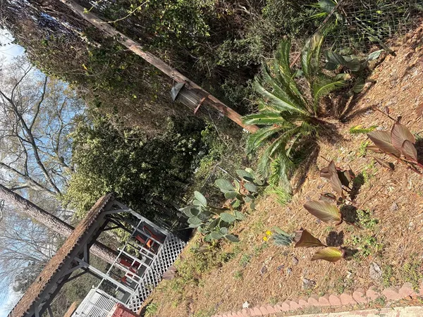 a backyard of a house with large trees and plants