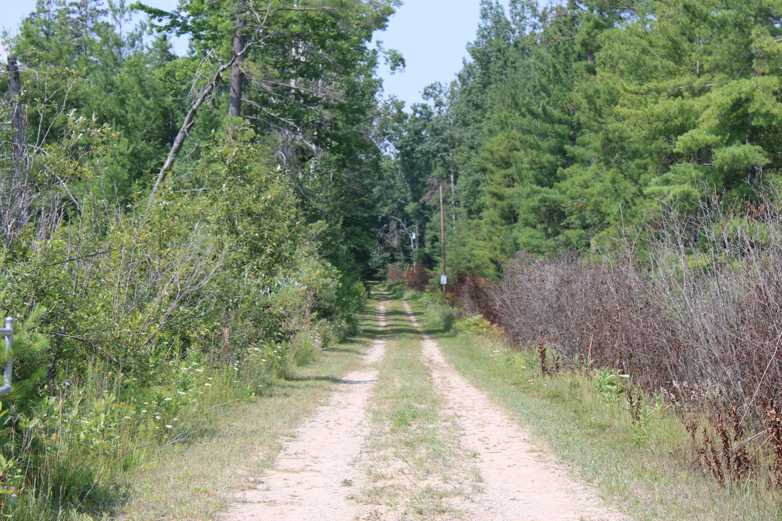 5626 Smith Road Lewiston, MI 49756 - Photo 40 of 50 28b