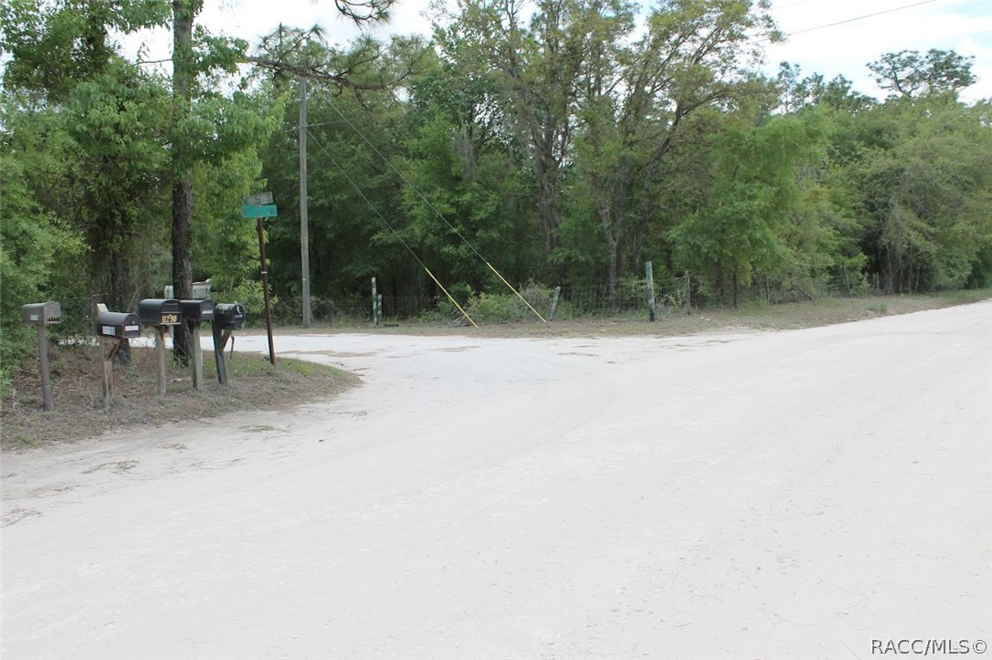 Tbd Northeast 56th Street Bronson, FL 32621 - Photo 10 of 26