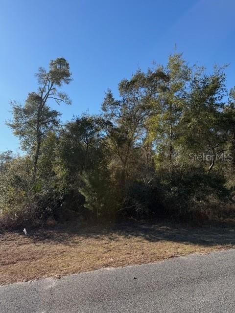Tbd Southwest 158th St Road Ocala, FL 34473 - Photo 4 of 4