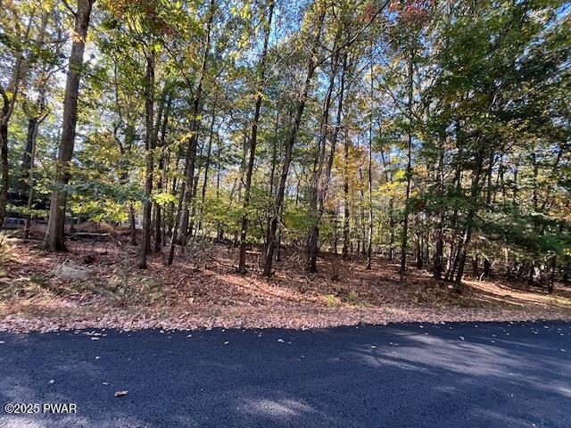 Lot 332 Racoon Road Dingmans Ferry, PA 18328 - Photo 3 of 9