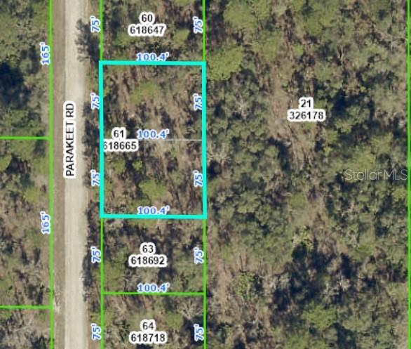 18074 Parakeet Road Weeki Wachee, FL 34614 - Photo 1 of 1 parakeet rd lots 61 & 62150 x 100 x 150 x 100
