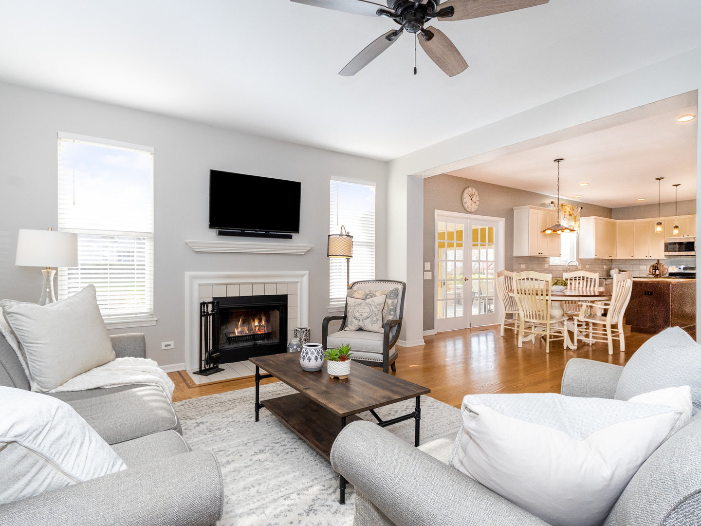 1195 Amaranth Drive Naperville, IL 60564 - Photo 11 of 48 a living room with furniture fireplace and flat screen tv