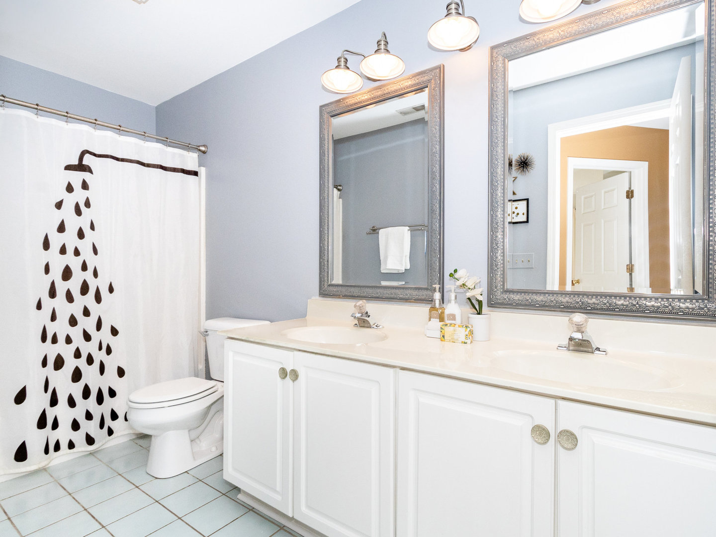 1195 Amaranth Drive Naperville, IL 60564 - Photo 28 of 48 a bathroom with a sink a toilet and a mirror
