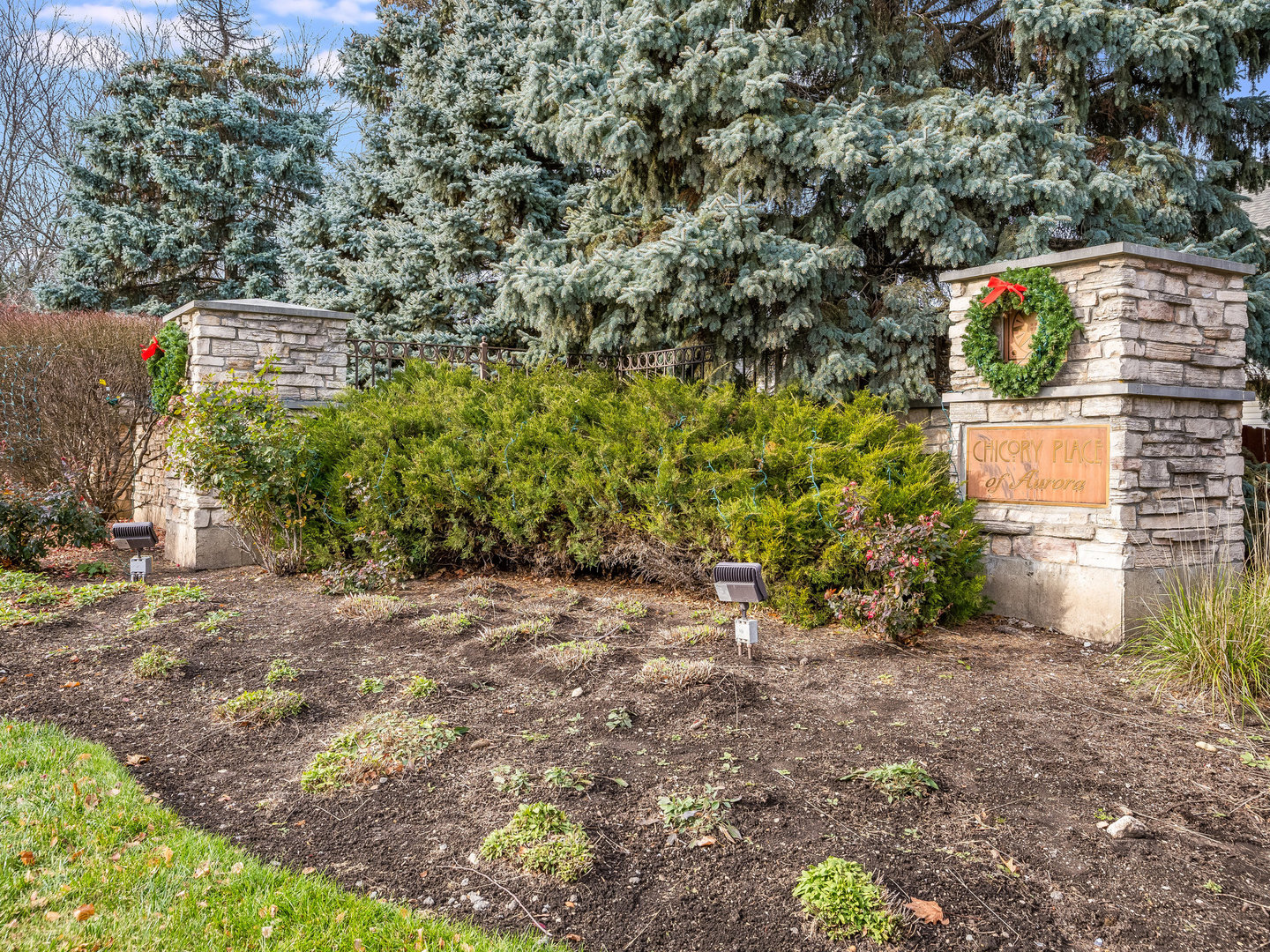 1195 Amaranth Drive Naperville, IL 60564 - Photo 45 of 48 a view of a yard