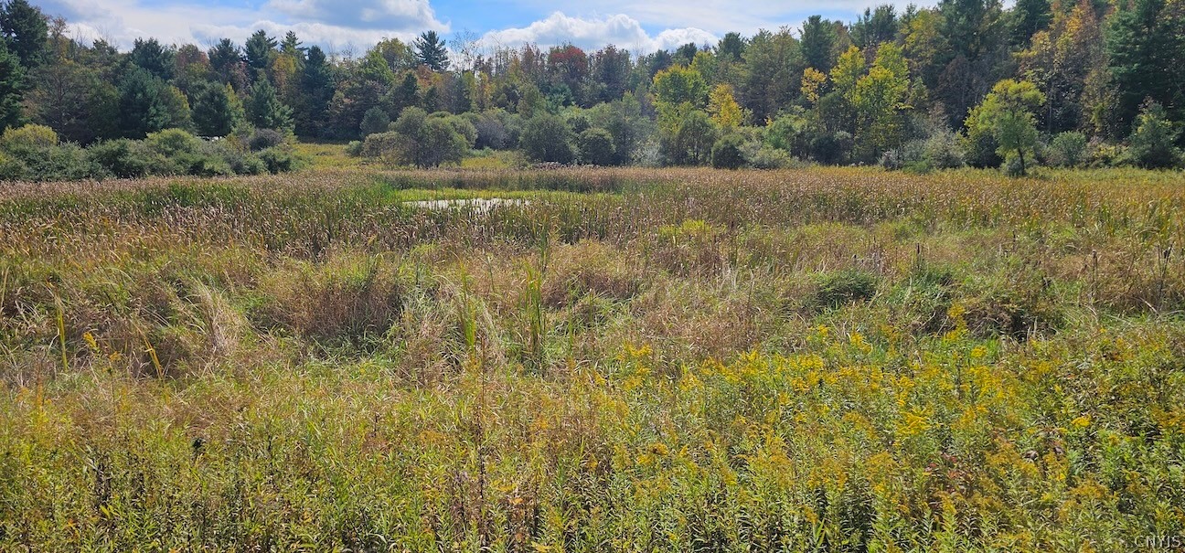 Learn Road Cameron Mills, NY 14820 - Photo 8 of 40 Gallery Image 8