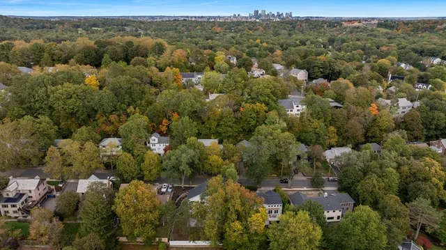 an aerial view of town with trees