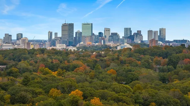 a view of a city with tall buildings