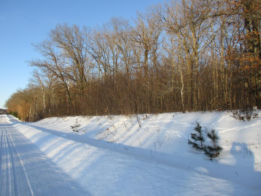 0 26th Chetek, WI 54728 - Photo 1 of 1 Gallery Image 1