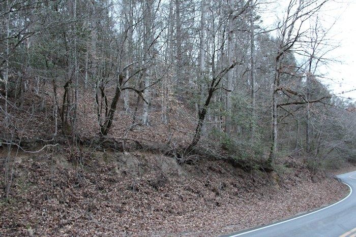 0 Parcel 058.00 Pearl Valley Road Sevierville, TN 37876 - Photo 1 of 13 a view of a yard with large trees