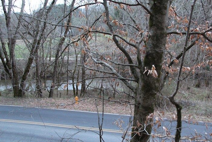 0 Parcel 058.00 Pearl Valley Road Sevierville, TN 37876 - Photo 11 of 13 a backyard of a house with lots of green space