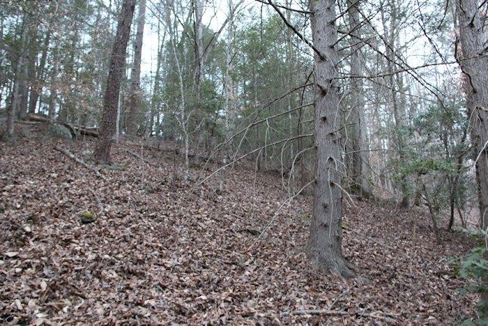 0 Parcel 058.00 Pearl Valley Road Sevierville, TN 37876 - Photo 2 of 13 a view of a forest with trees