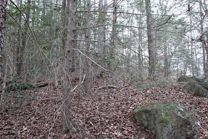 0 Parcel 058.00 Pearl Valley Road Sevierville, TN 37876 - Photo 4 of 13 a view of a yard with a large tree