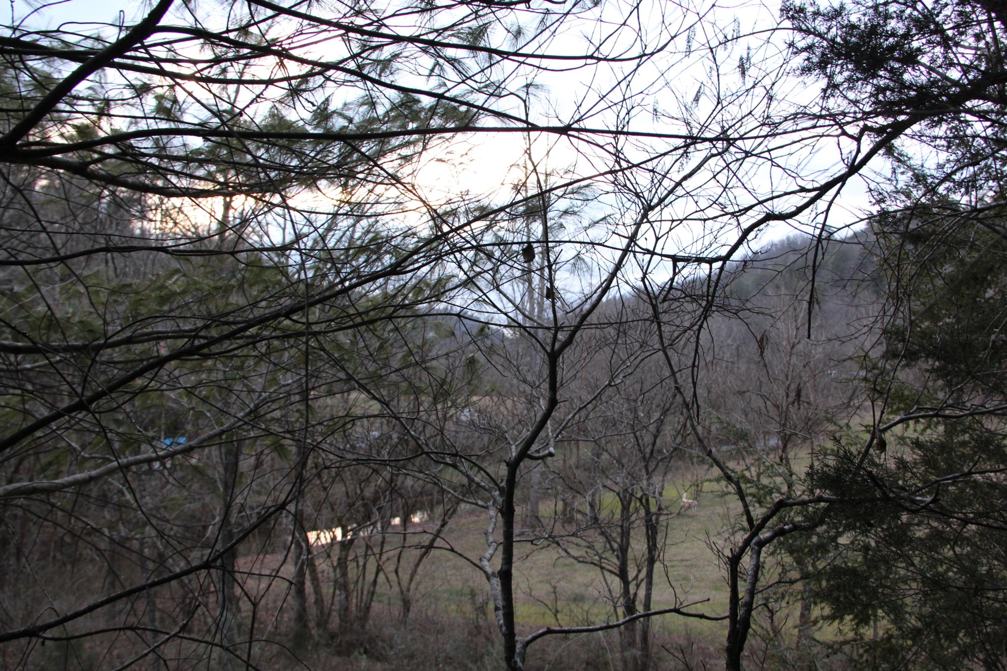 0 Parcel 058.00 Pearl Valley Road Sevierville, TN 37876 - Photo 7 of 13 a backyard of a house with lots of green space