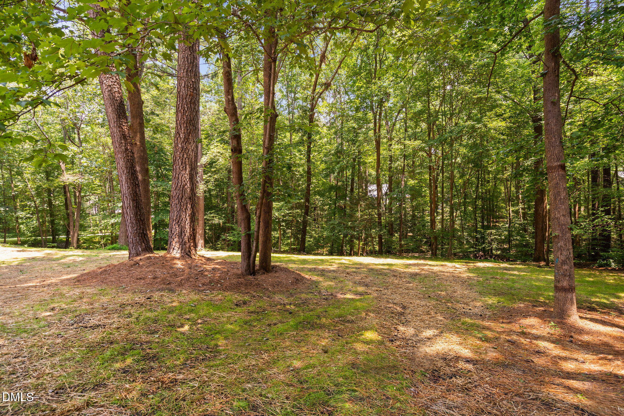 13004 Hanford Court Raleigh, NC 27614 - Photo 68 of 99 28-web-or-mls-13004-hanford-ct