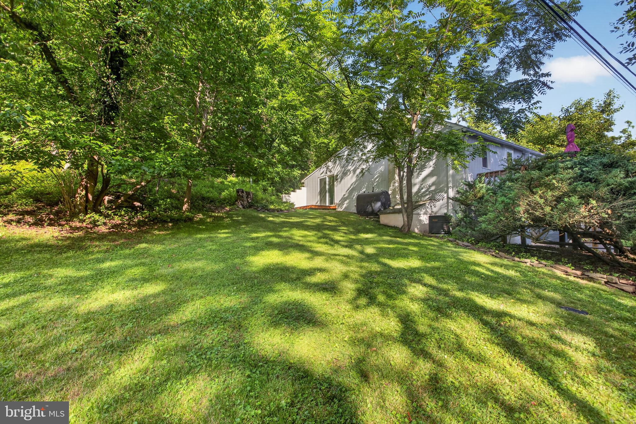 247 Pinetown Road Norristown, PA 19403 - Photo 25 of 26 Side yard