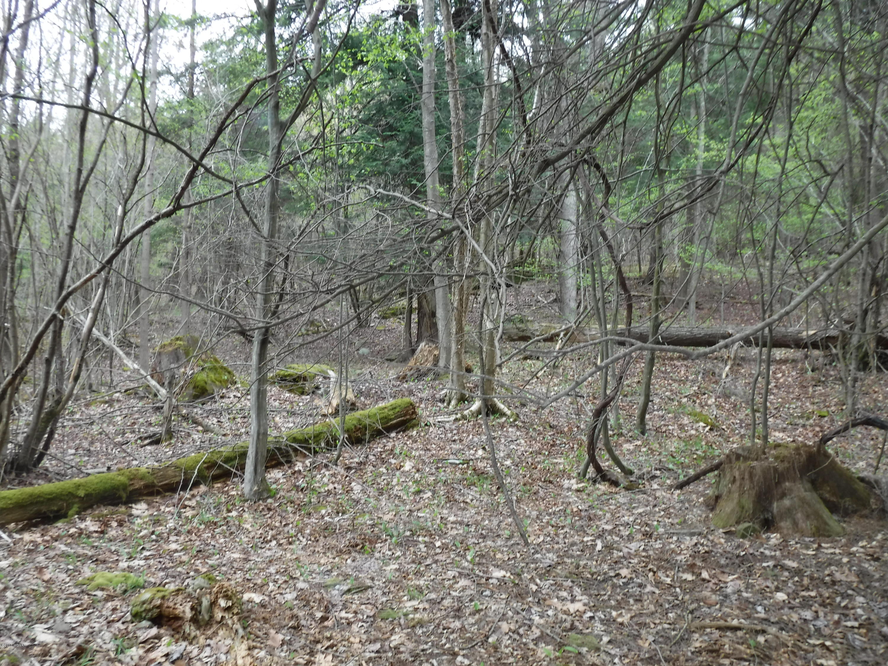 15 Deep Hollow Road New Albany, PA 18833 - Photo 24 of 53 DSCF0202