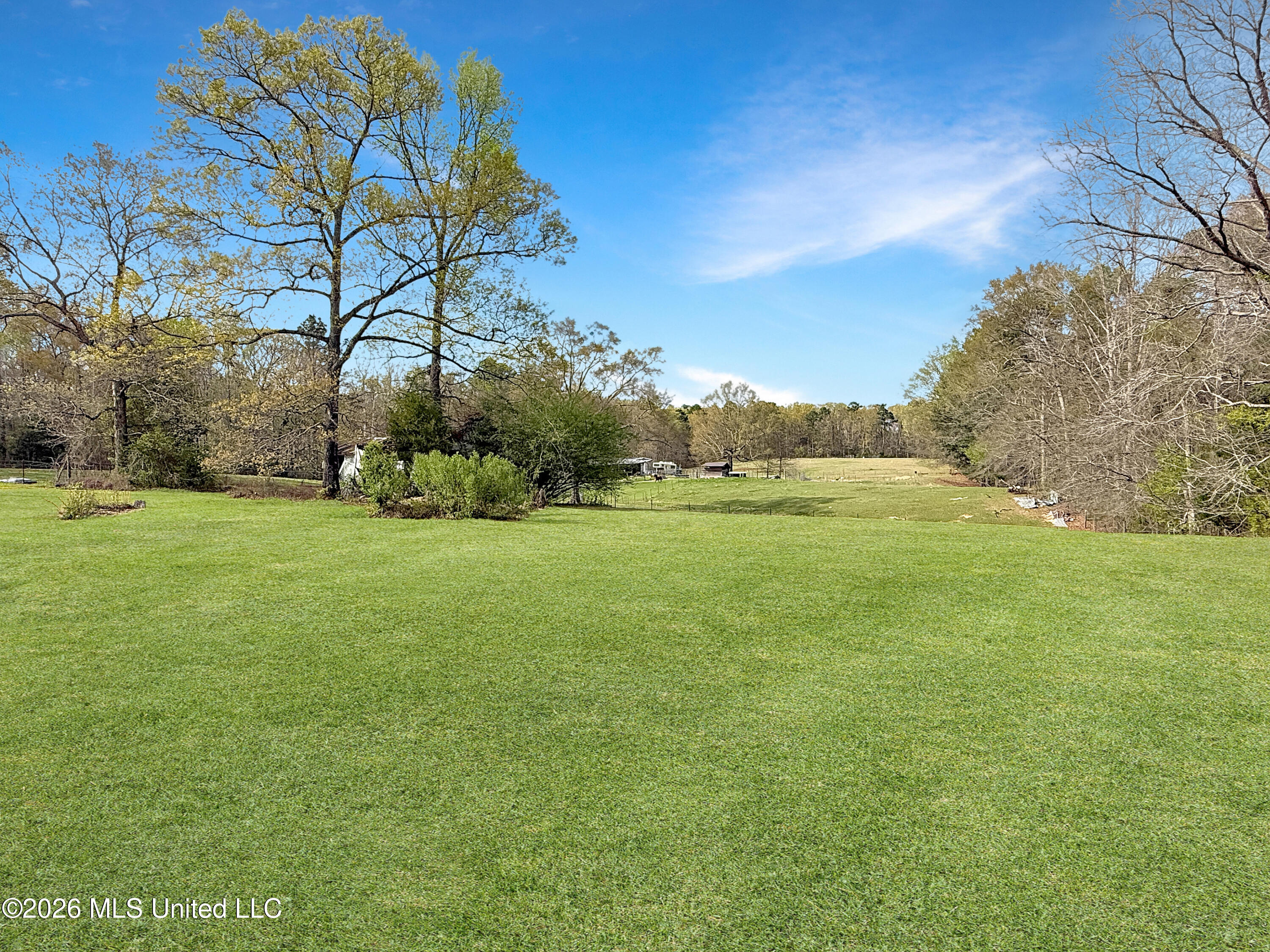 1231 Gunter Road Florence, MS 39073 - Photo 17 of 20 6e9eee3282463f1872cc7ca8326c31819c13faf4