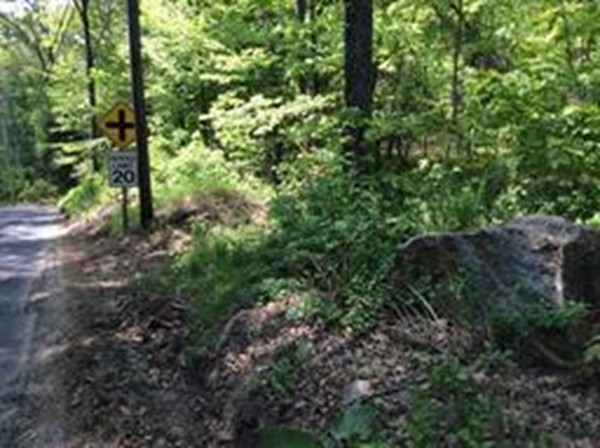 214 Union Road Wales, MA 01081 - Photo 2 of 4 a view of a forest with lots of trees