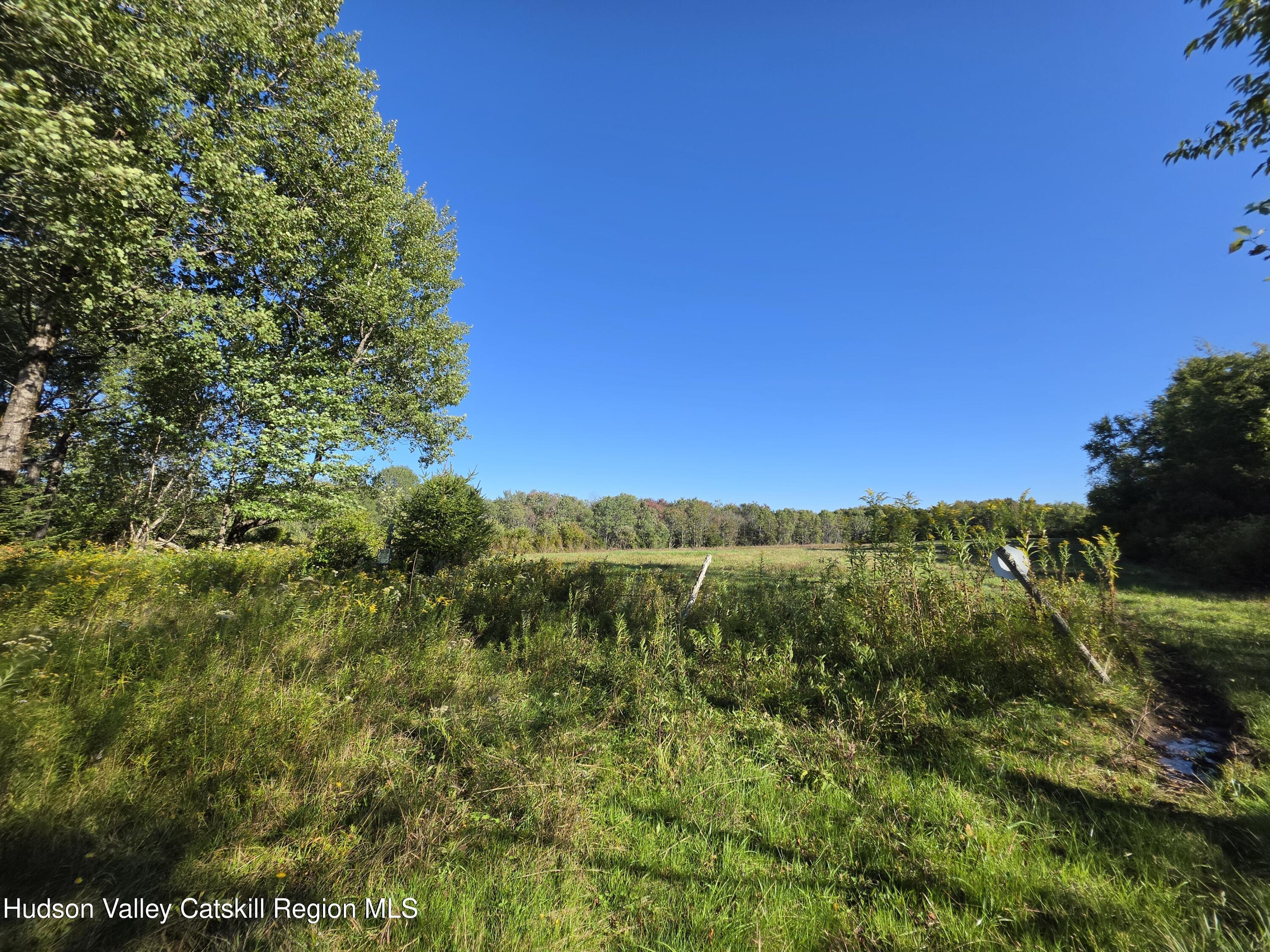 Tbd Anderson Road 1 Road Parksville, NY 12768 - Photo 10 of 27 20260914_162820