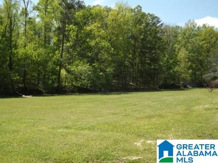 748 Will Keith Road Trussville, AL 35173 - Photo 13 of 44