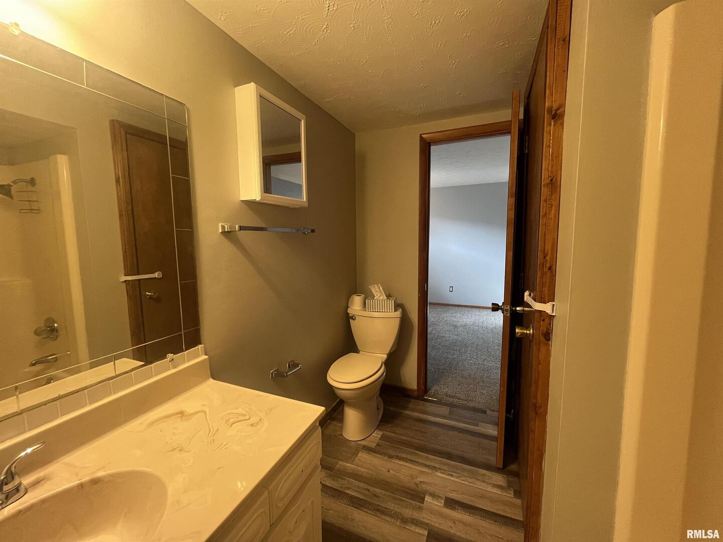 314 East 8th Street Metropolis, IL 62960 - Photo 32 of 33 a bathroom with a sink and toilet