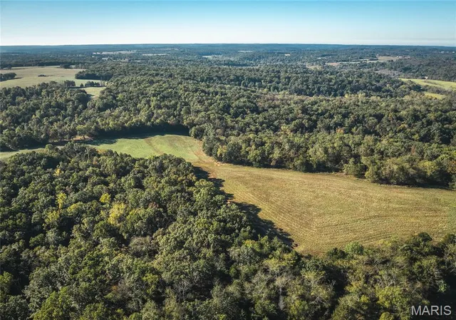 $1,650,000 | 56 Osage Meadows Lane, Bland, MO 65014