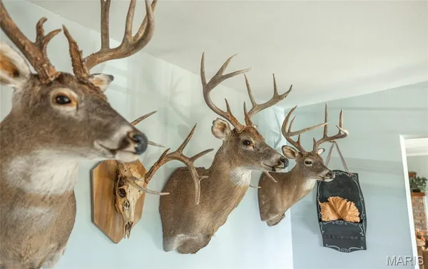 $1,595,000 | 56 Osage Meadows Lane, Bland, MO 65014