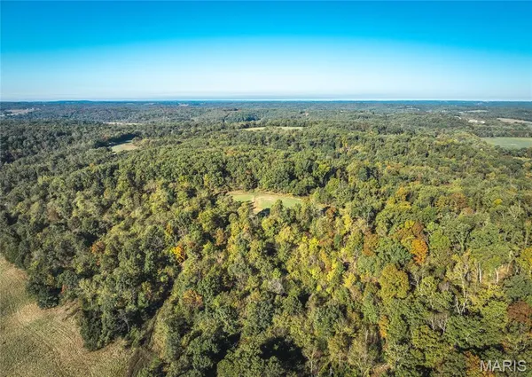 $1,595,000 | 56 Osage Meadows Lane, Bland, MO 65014