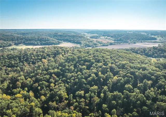 $1,650,000 | 56 Osage Meadows Lane, Bland, MO 65014