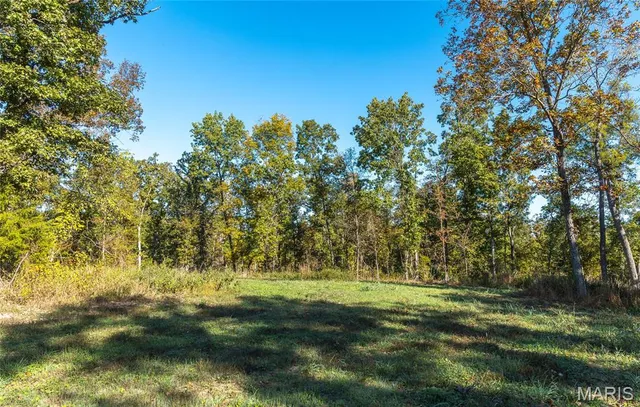 $1,650,000 | 56 Osage Meadows Lane, Bland, MO 65014